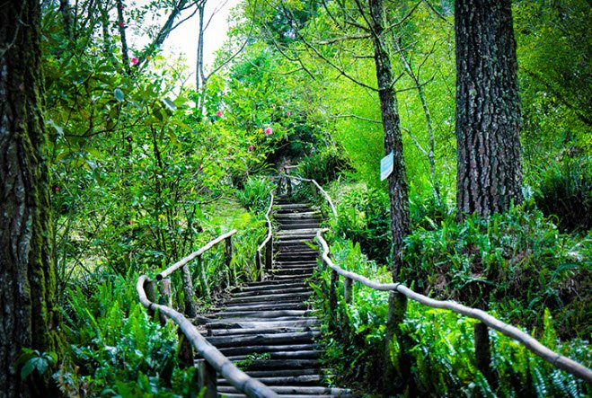 El Boquerón National Park, San Salvador Volcano, San Salvador, El Salvador